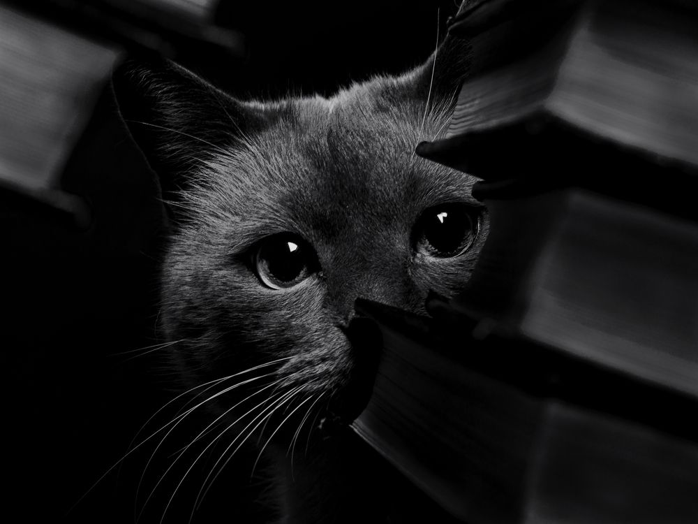 Photograph by Evgeniy Savikov