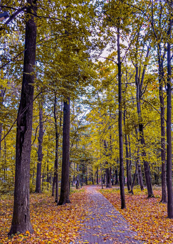 Photograph by Георгий Калякин