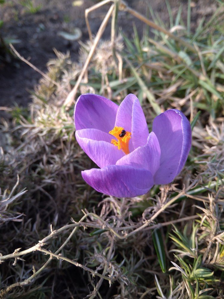 Photograph by Михаил Северин