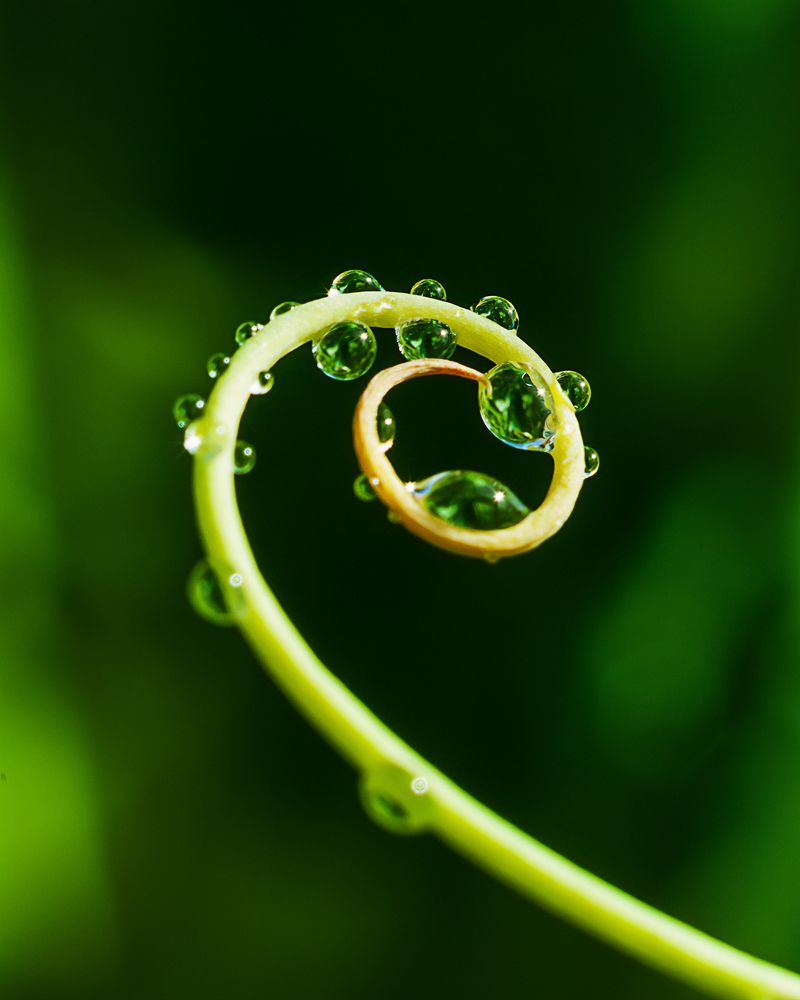 Фотография автора Наталья