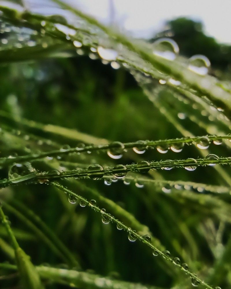 Фотография автора Таня Долгушева