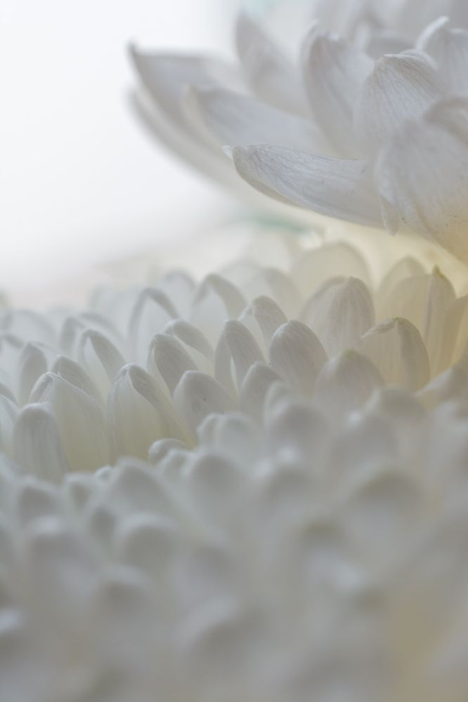 Photograph by Николай Головко