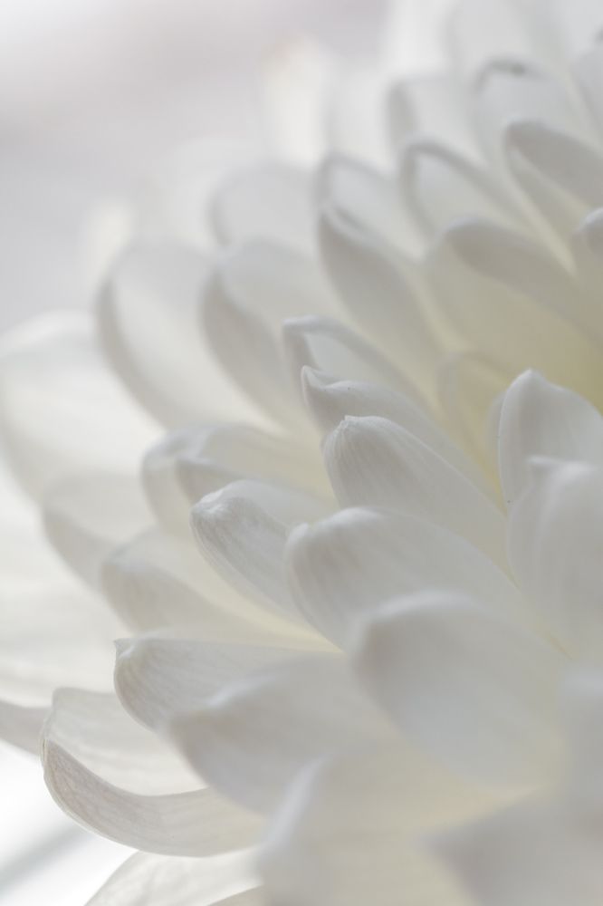 Photograph by Николай Головко