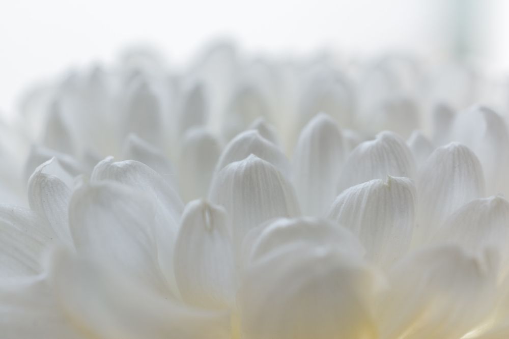 Photograph by Николай Головко