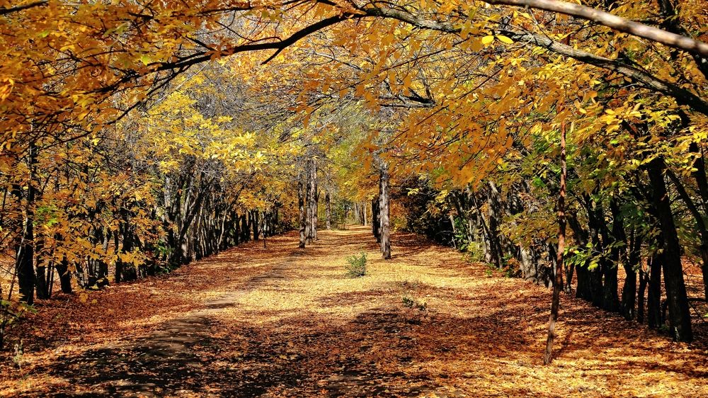 Photograph by Сергей Жданов