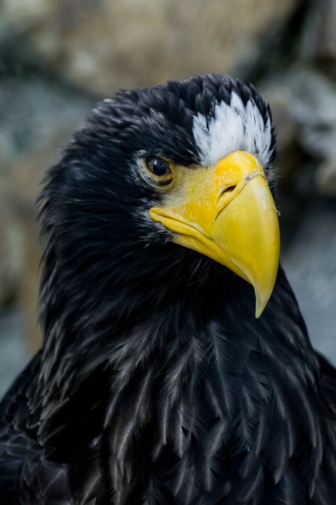 Photograph by Николай Головко