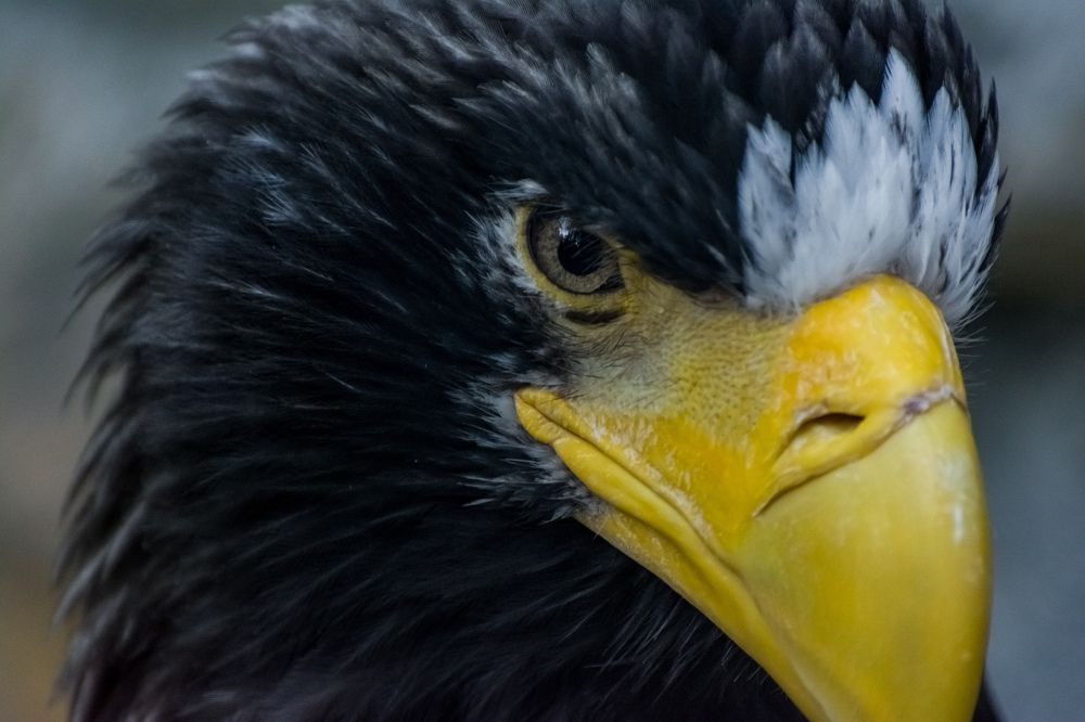 Photograph by Николай Головко