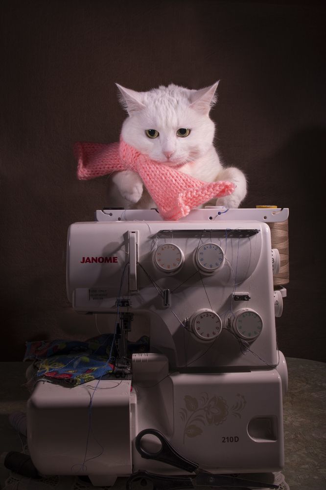 Photograph by Екатерина Бурикова