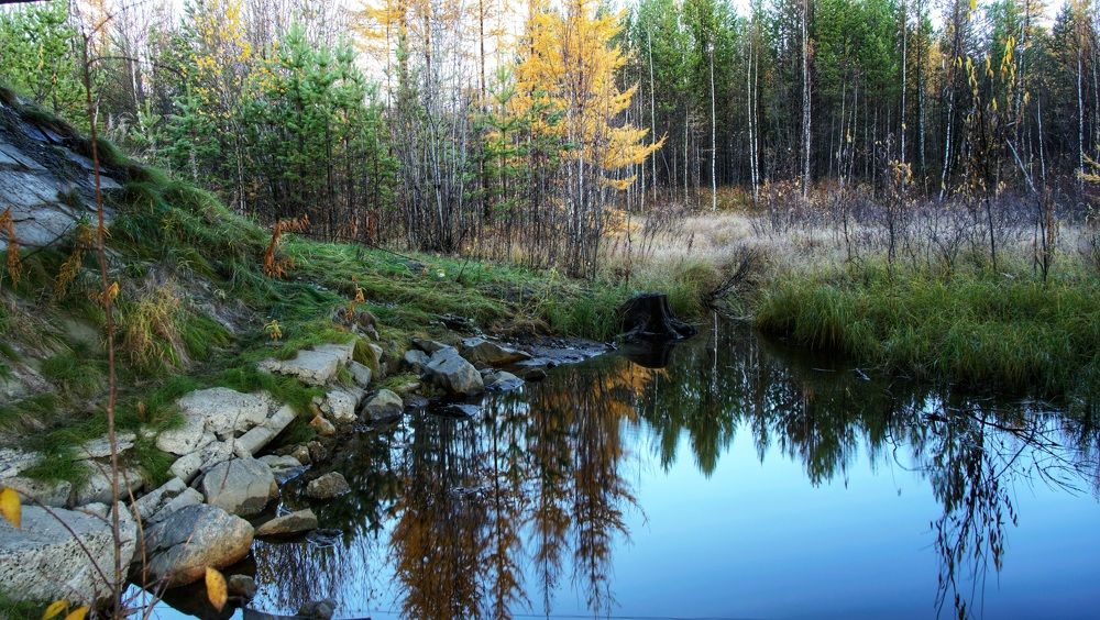 Photograph by Александр Клюев