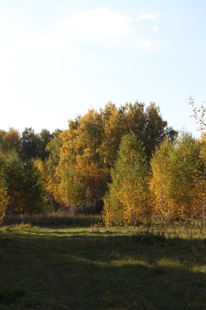 Photograph by София Орлова