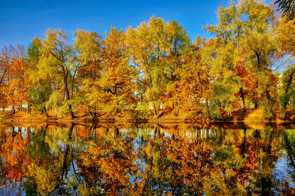 Photograph by Александр Сток