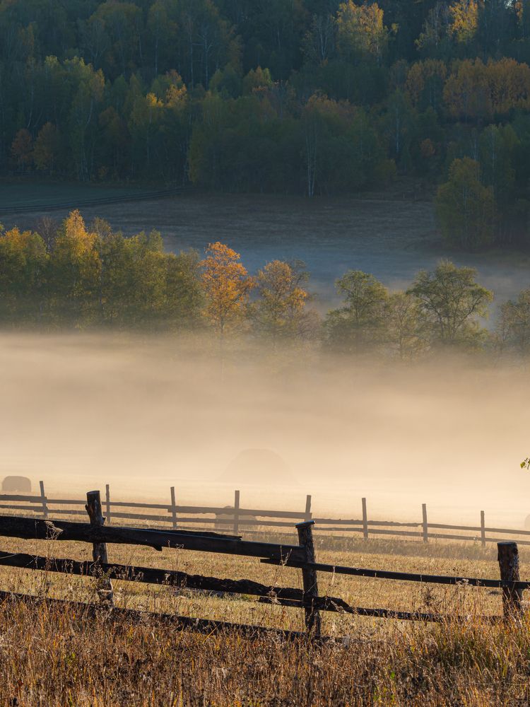 Photograph by Алексей Львов