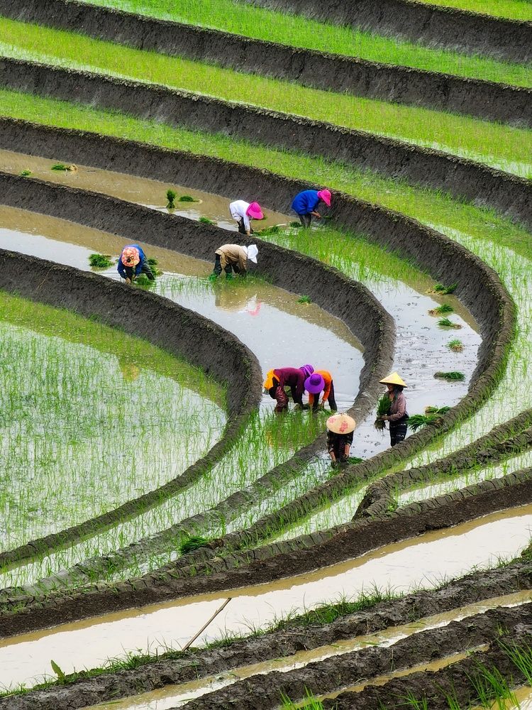 Photograph by Do Thi Thanh Binh
