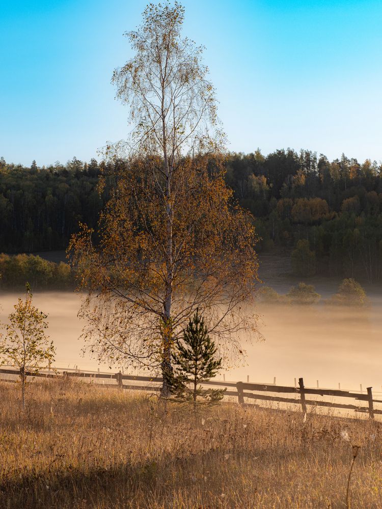 Photograph by Алексей Львов