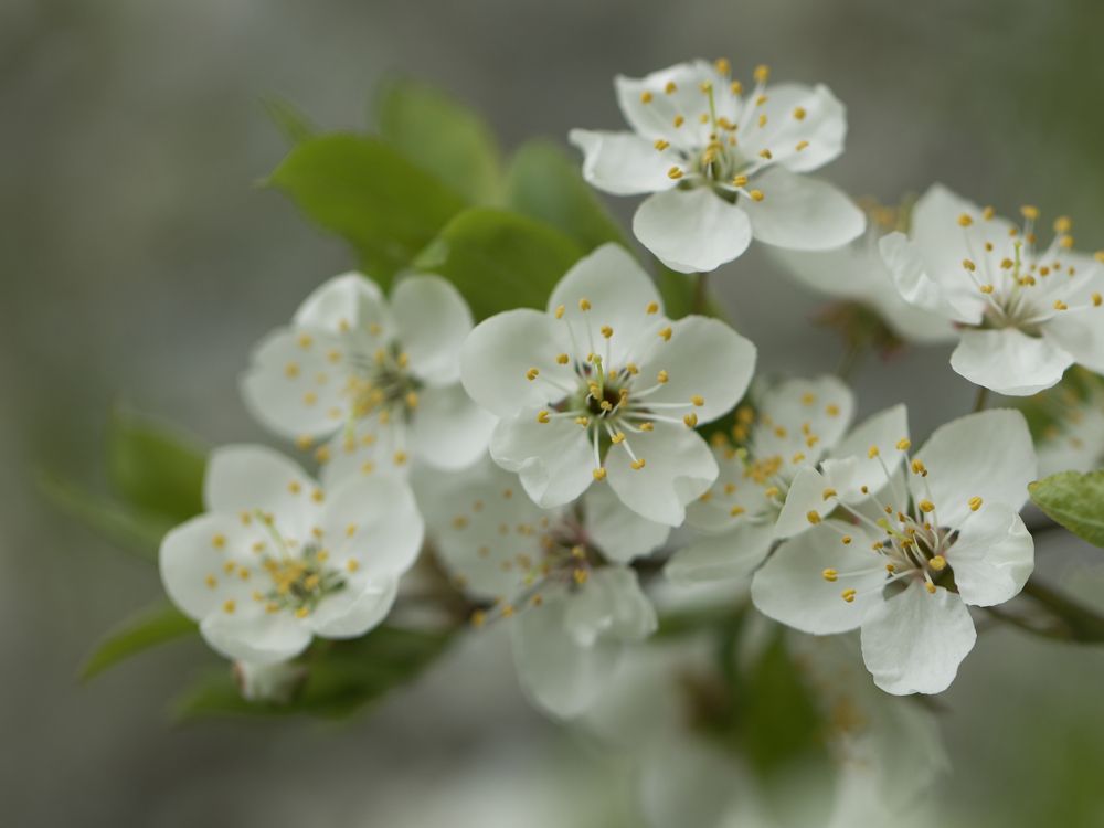 Photograph by Ирина Серегина