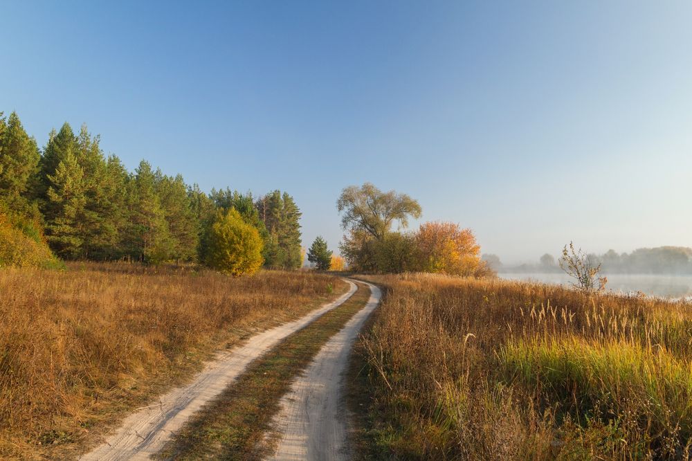 Photograph by Алексей