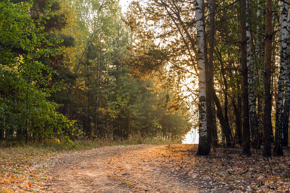 Photograph by Алексей