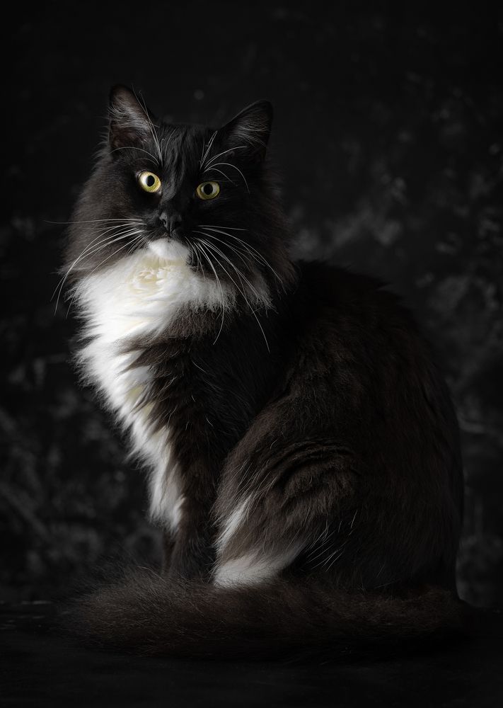 Photograph by Антон Серкин