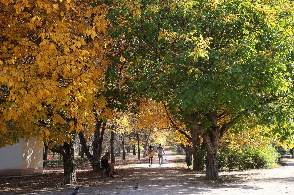 Photograph by Юрий Тараненко