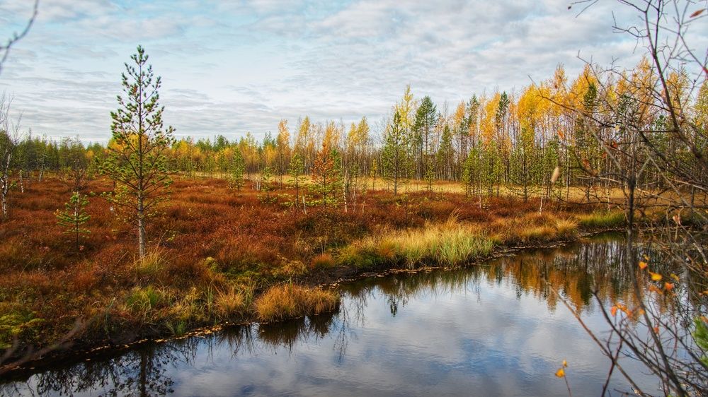 Photograph by Александр Клюев