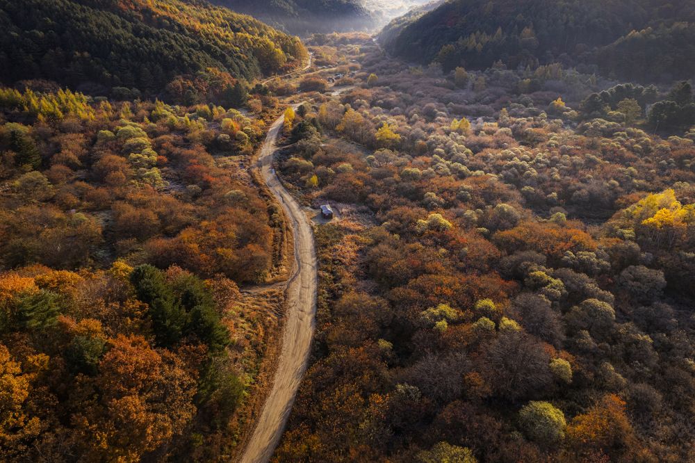 Фотография автора LE QUANG SON