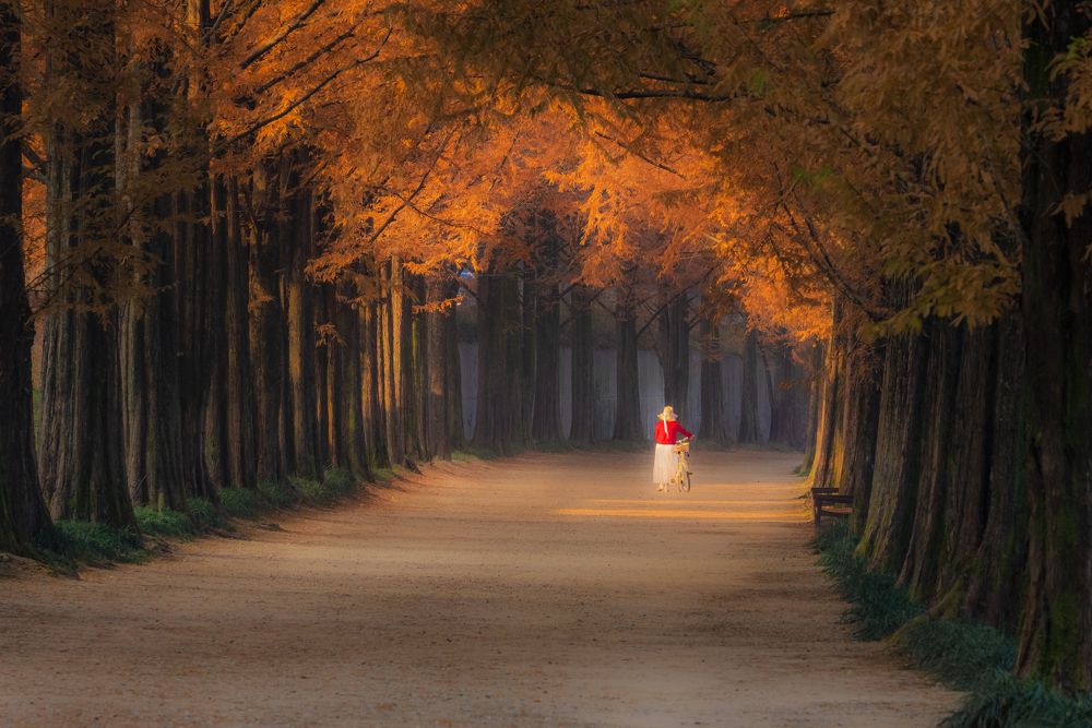 Photograph by LE QUANG SON