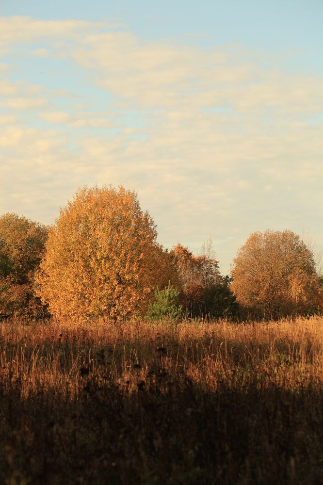 Photograph by Владимир Ясюкевич