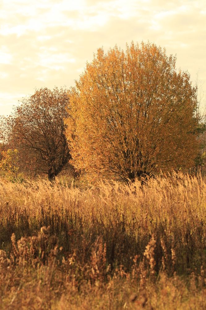 Photograph by Владимир Ясюкевич