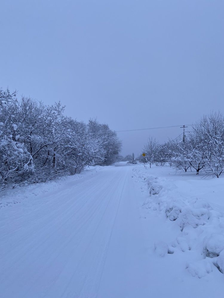 Photograph by Ирина Молибог