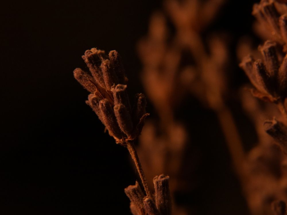 Фотография автора Ирина Мосько