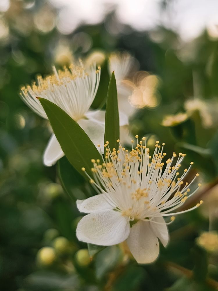 Photograph by Hannah Surji