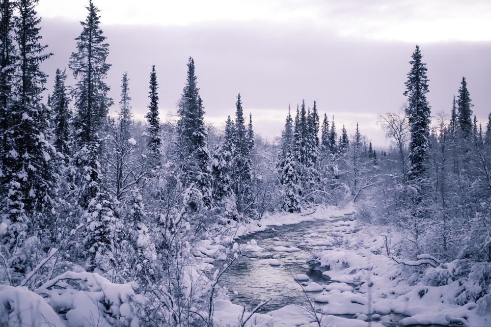 Где-то рядом с Мурманском