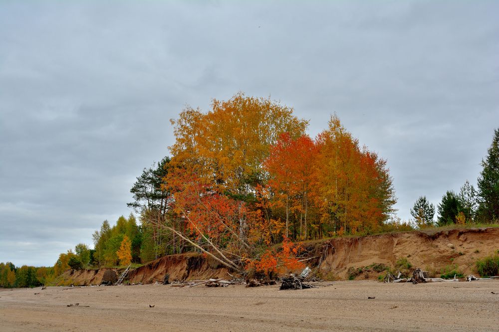 Photograph by Александр Зуев