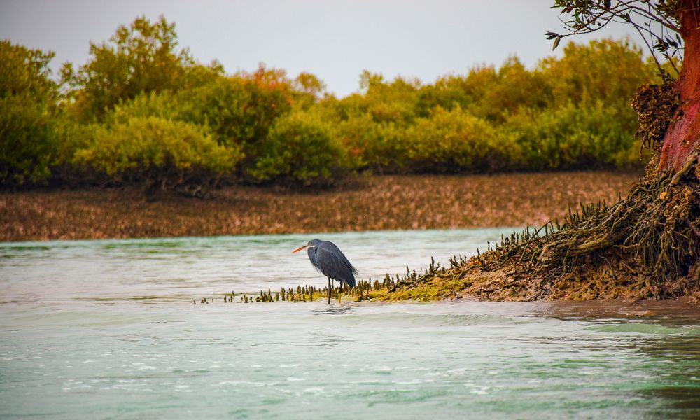 Photograph by Farshad Yazdankhah