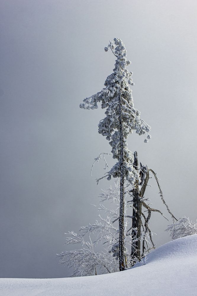 Photograph by Елена Павлова