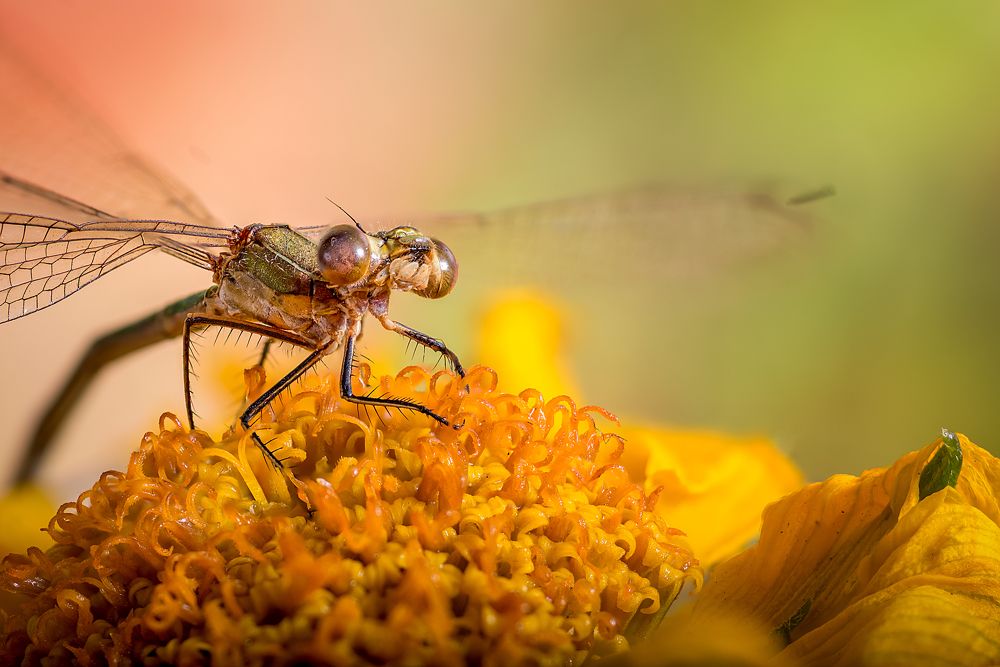 Photograph by Юрий Яковлевич