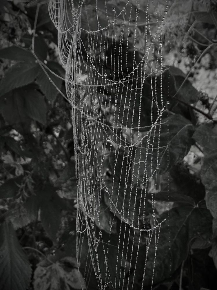 Photograph by Татьяна Семёнова