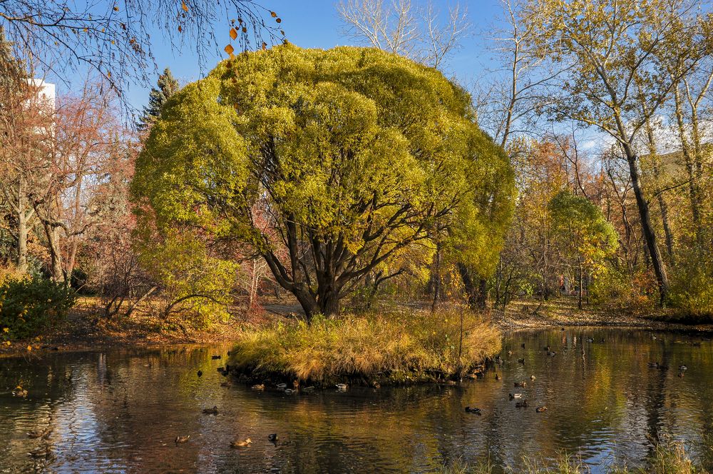 Photograph by Юлия Козельских