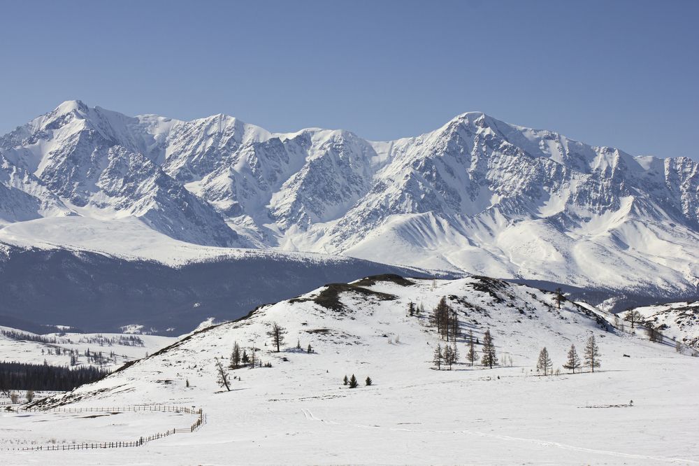 Photograph by Елена Павлова