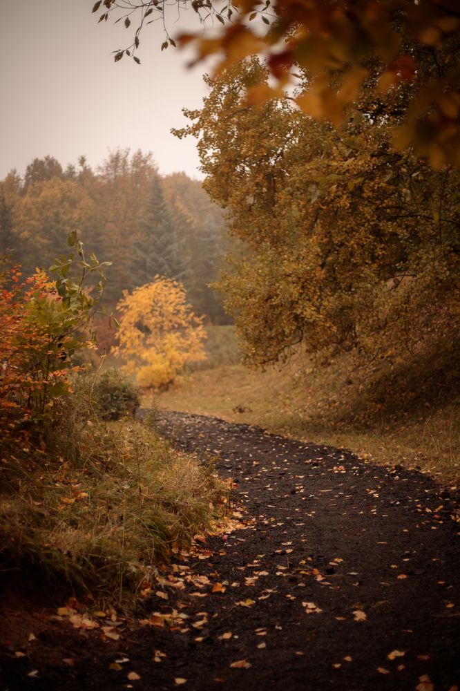 Photograph by Елена Копылова