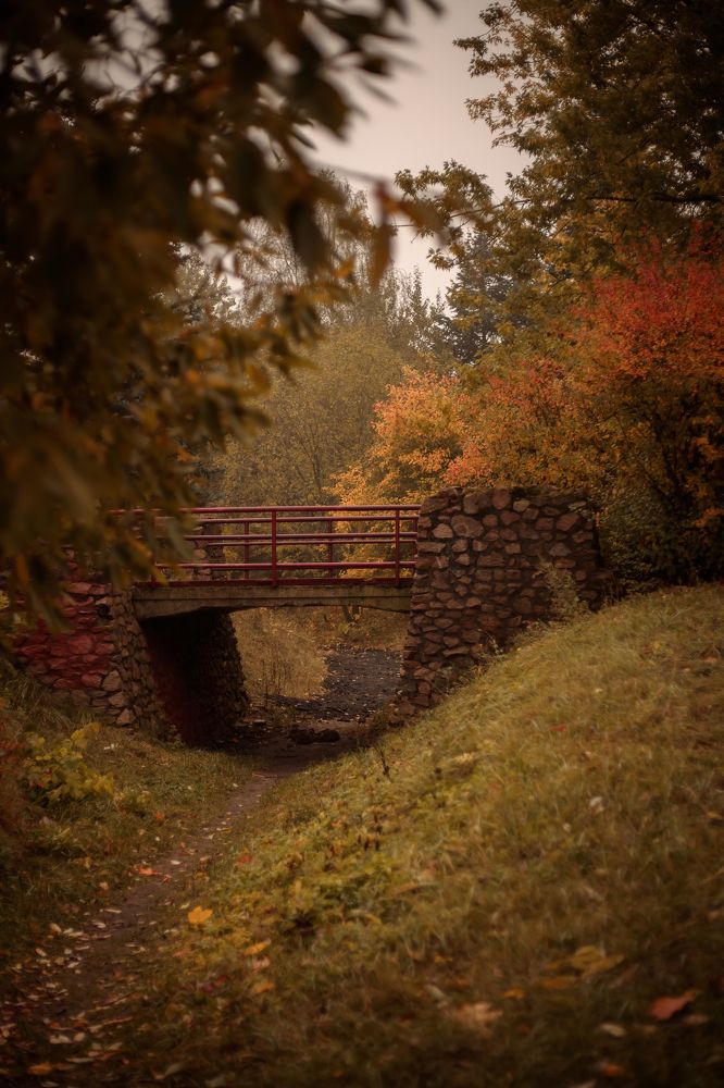 Photograph by Елена Копылова