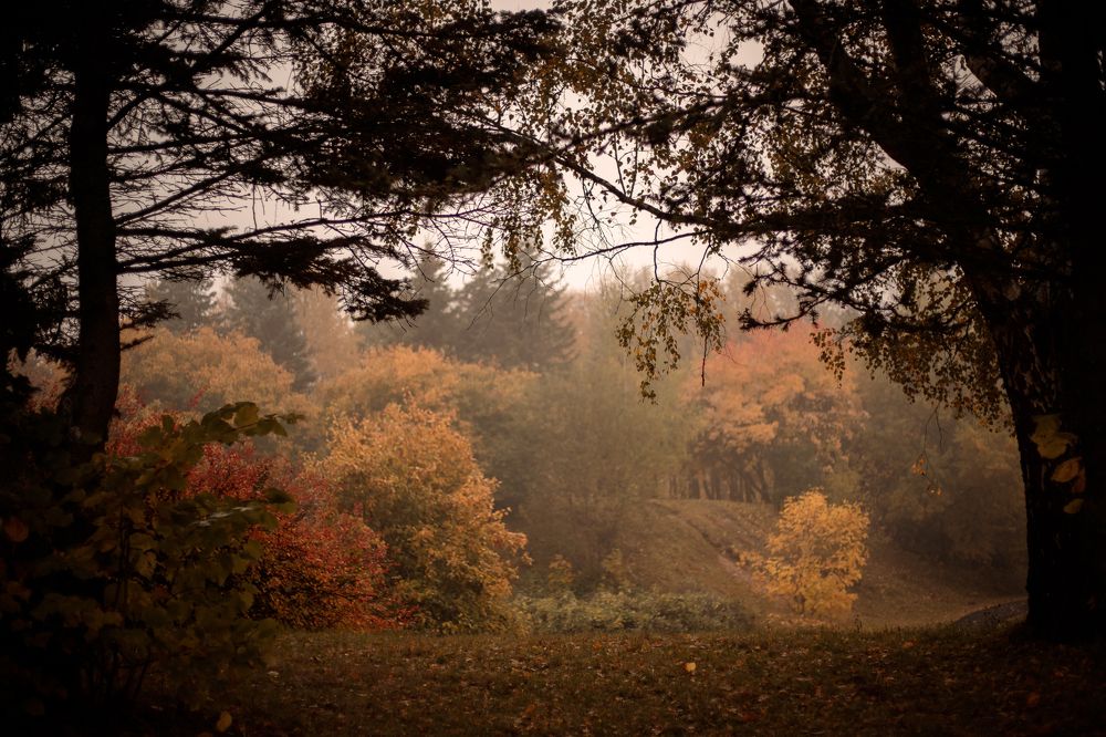 Photograph by Елена Копылова