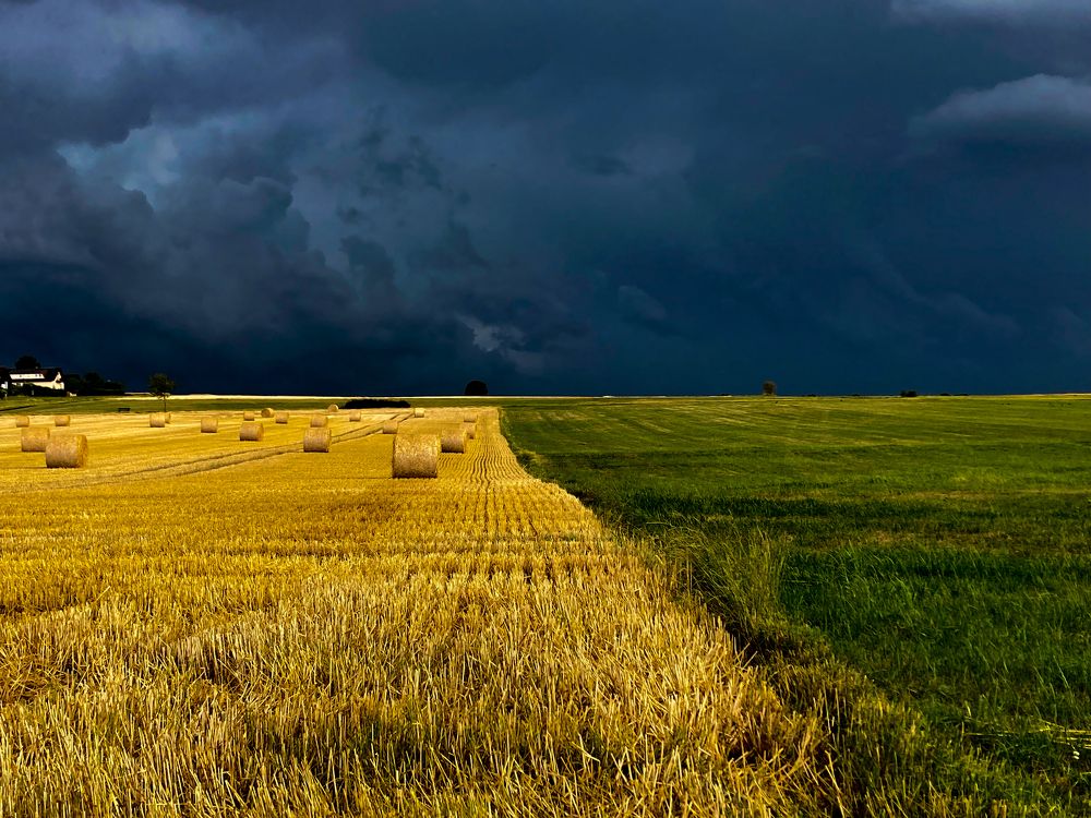 Photograph by Анжелика Костин