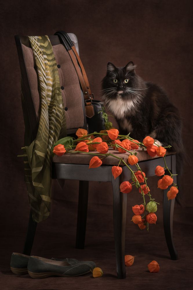 Photograph by Светлана Давыдова