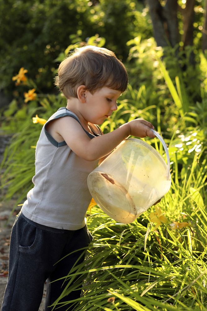 Photograph by Юлия Трап