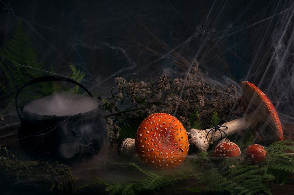 Photograph by Светлана Давыдова