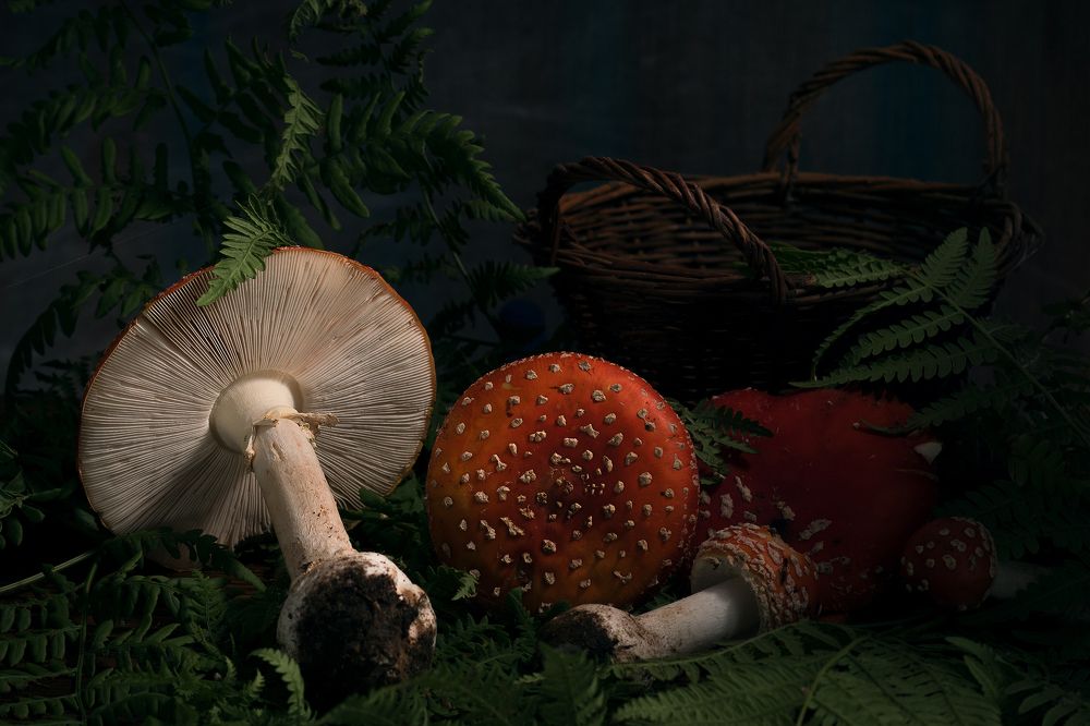 Photograph by Светлана Давыдова