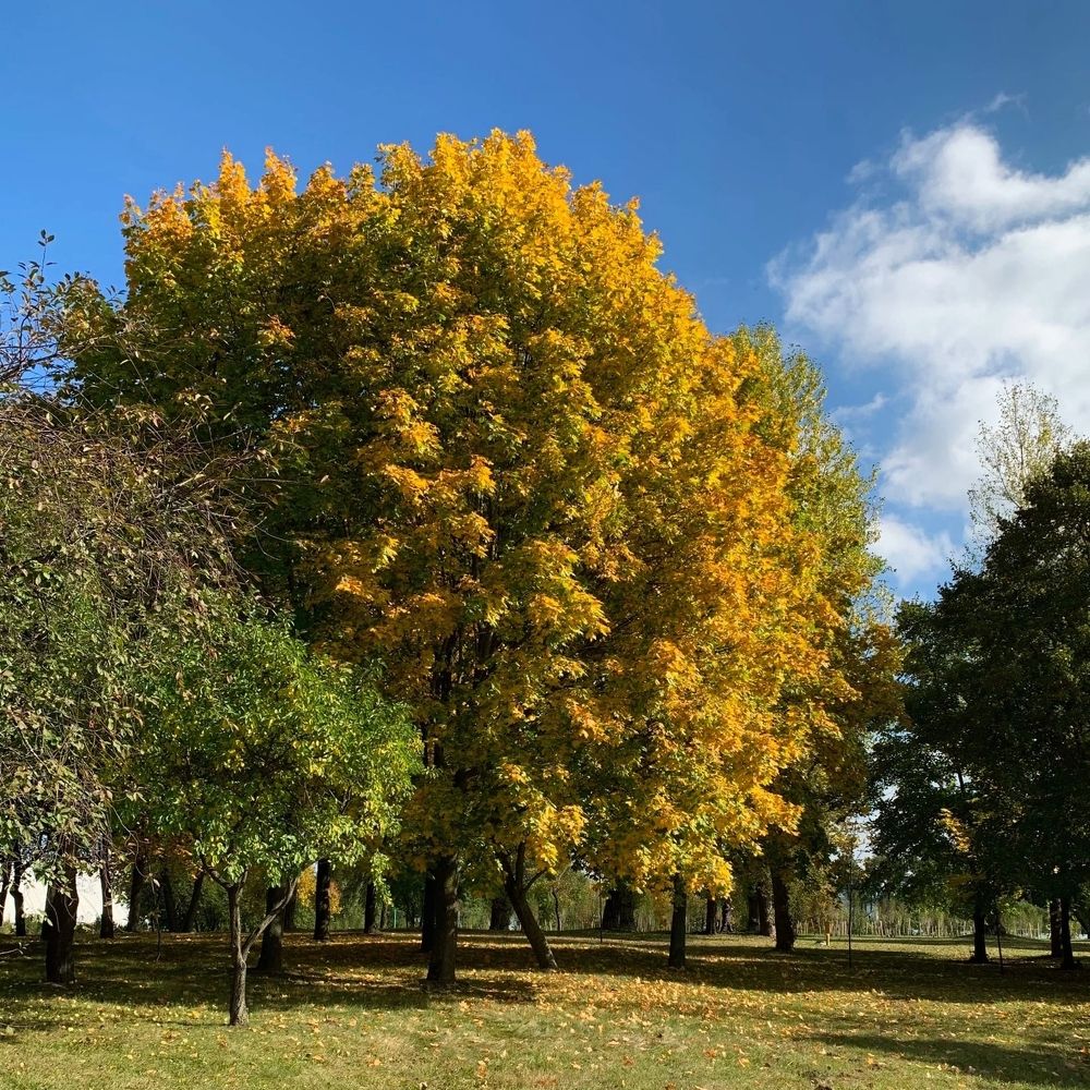 Photograph by Надежда Смирнова