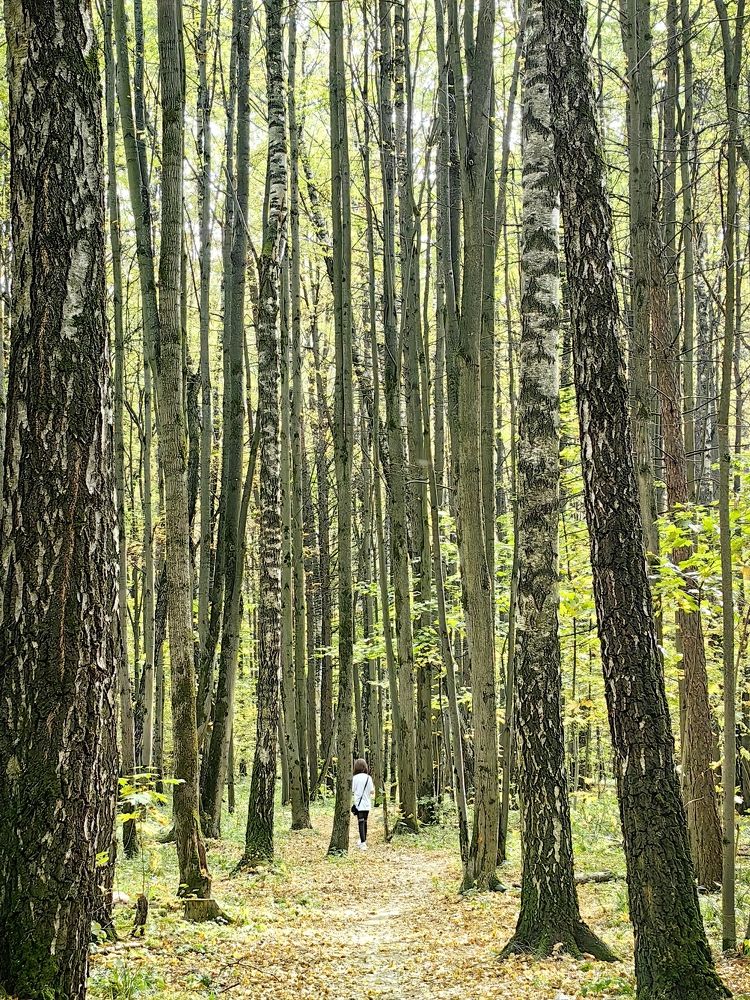 Photograph by Дарья Барышникова