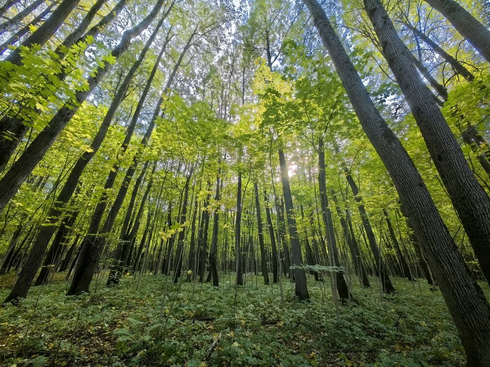 Photograph by Дарья Барышникова